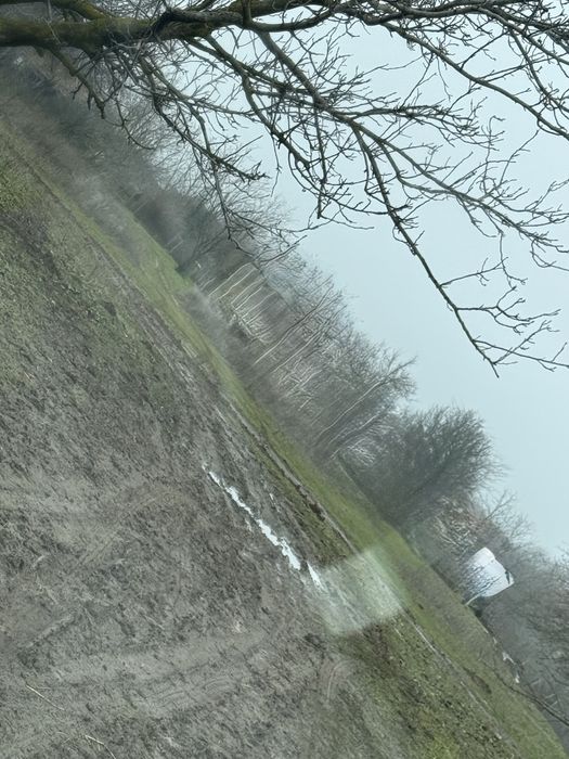 двор в село върбица