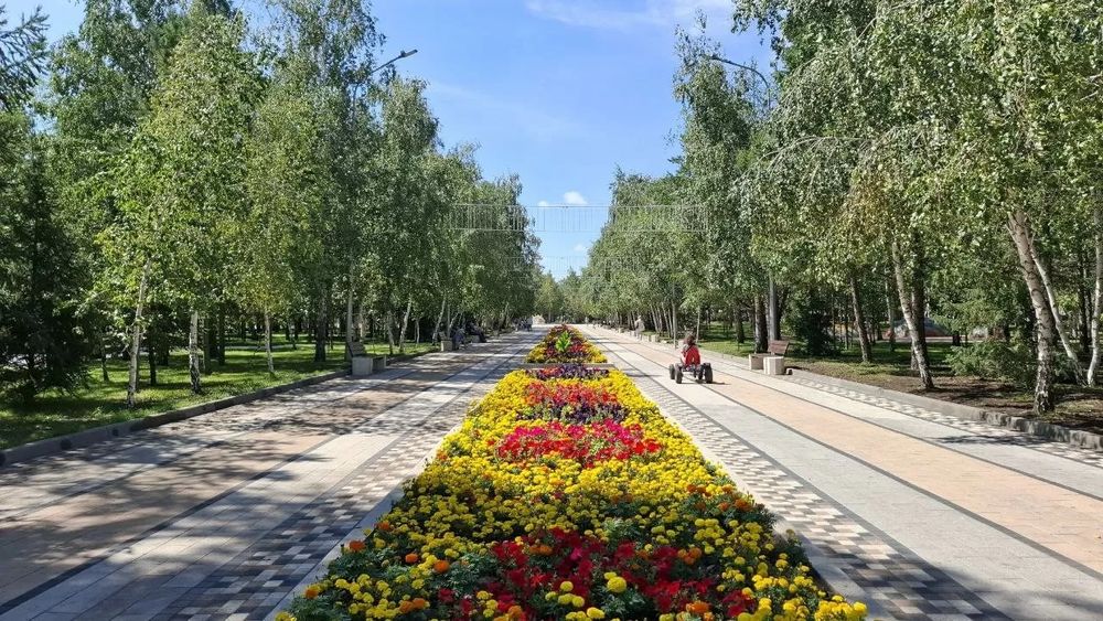 Привезу Чернозём чистый