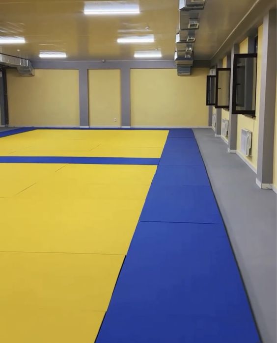 Татами для дзюдо Атбасар цена от провидителя