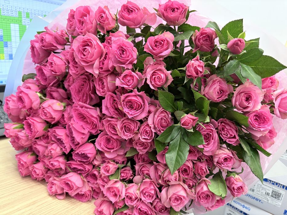 Цветы  кустовые розы