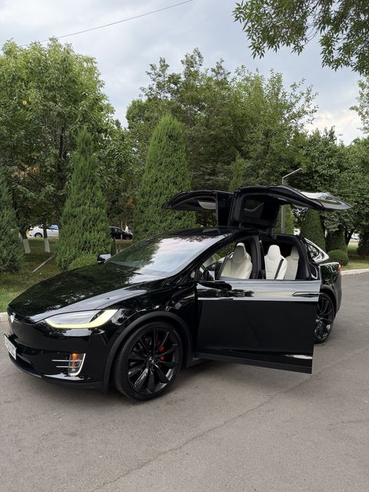 Tesla Model X Perfomance Duall Motor