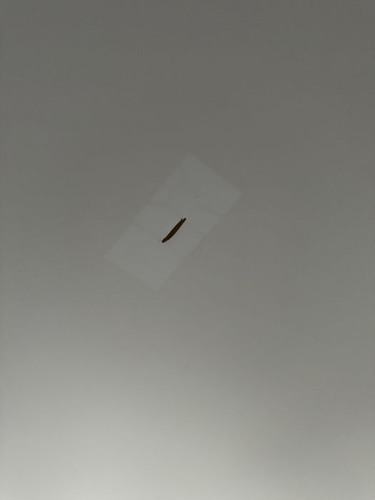 Ремонт натяжных потолков