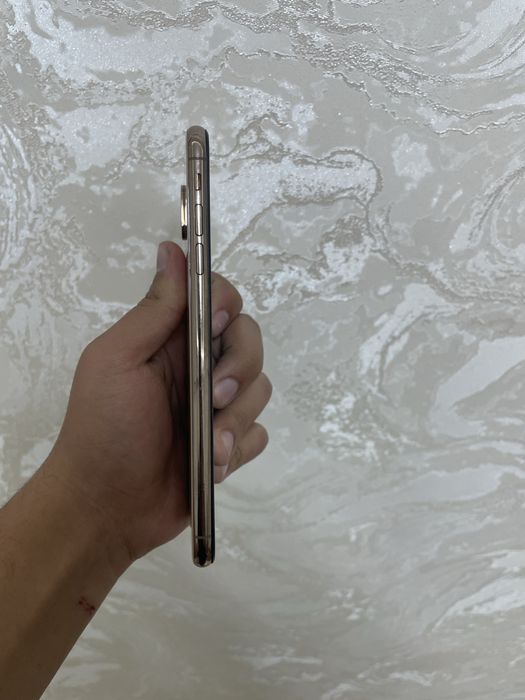 Iphone X S max Srochno