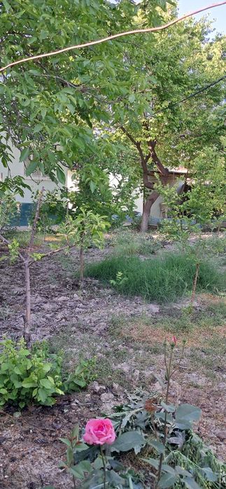 Продаётся дача с кадастром