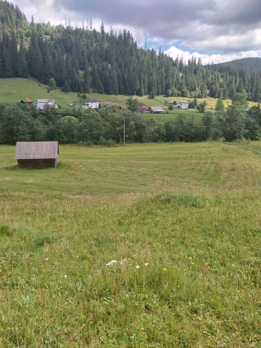 Teren 24134 mp Ciocanesti, Jud. Suceava