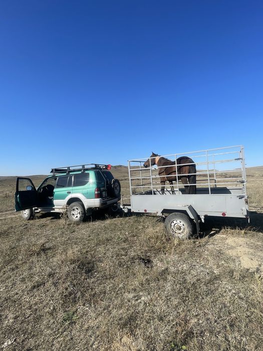 Продам прицеп с документтом