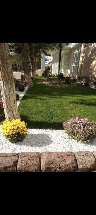 Газон афтоПалиф ландшафтный