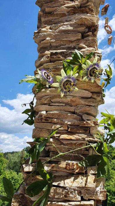 Продава се Къща в с. Цацаровци, Област София-област - 58 кв.м за 1156 €/кв.м - Снимка #7