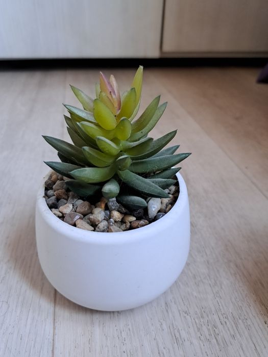 Продам искусственные растения