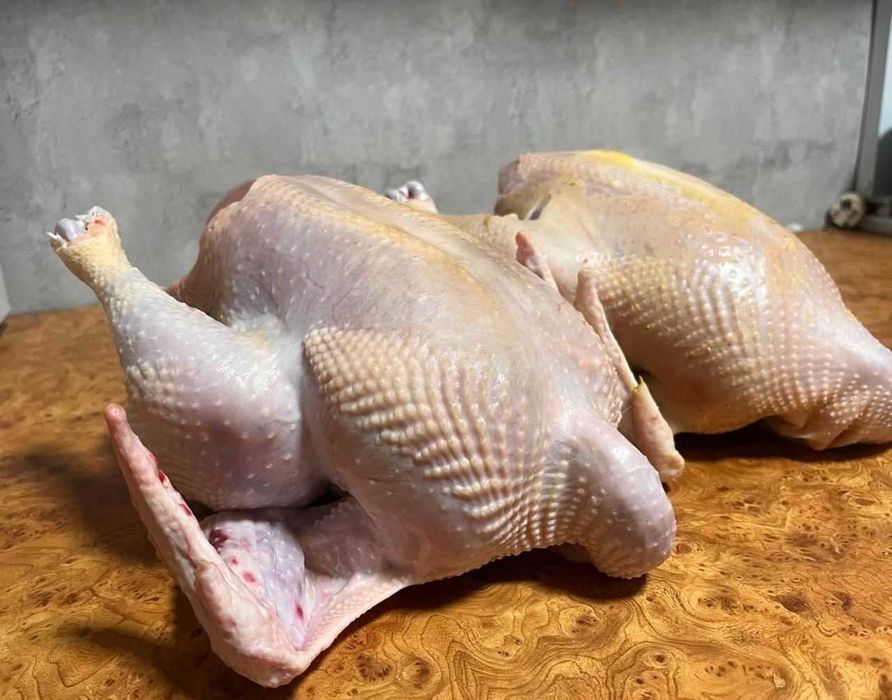 Мясо гуся        .