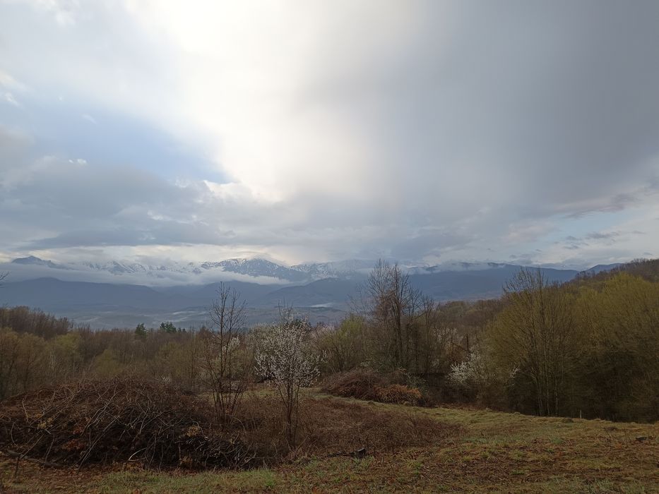 Продава се Парцел в Априлци - 1018 кв.м за 19 €/кв.м - Снимка #6