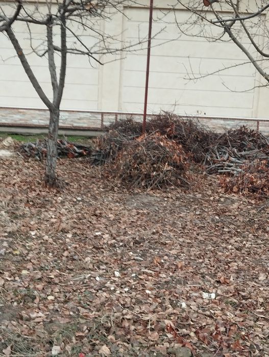 Кимга текинга утин керак булса