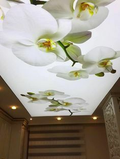 Натяжные потолки 1500кв.м