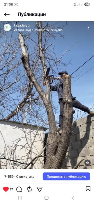 Жер аудару. Газон ору. Шөп ору. Шымкент