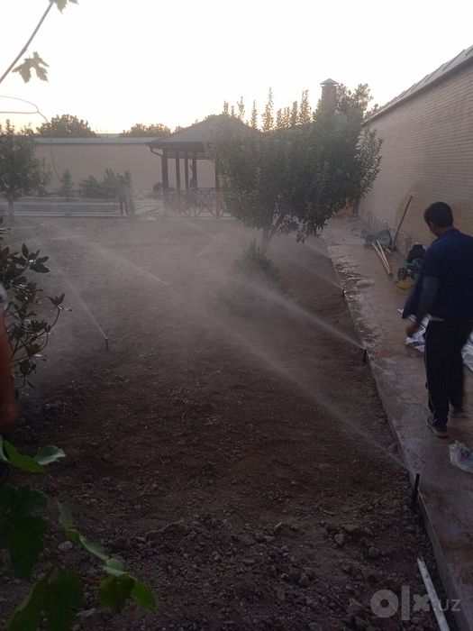Gazon tayor rulonlari landshaft samarkand