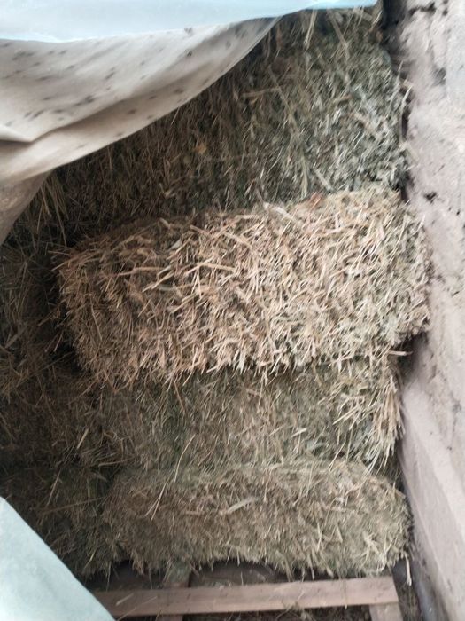 Беда прес 3-орим