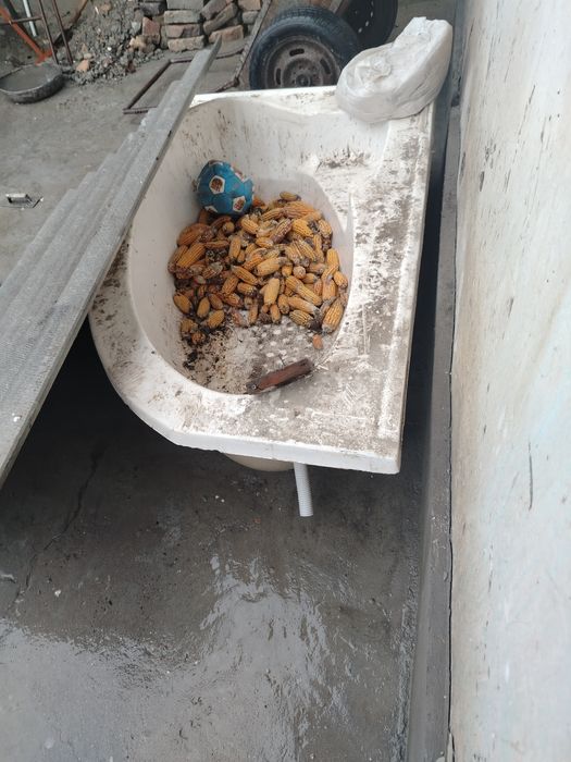 Vanna bor holati yaxshi