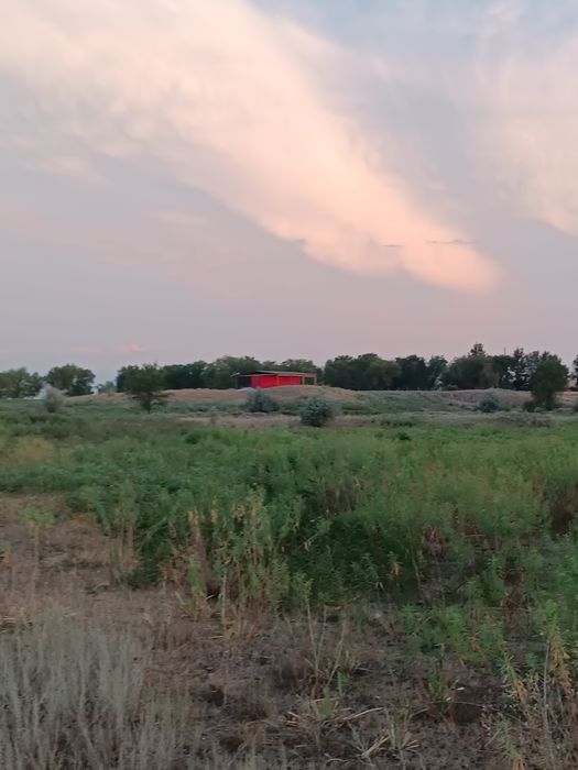Сдам в аренду земельный участок под КХ