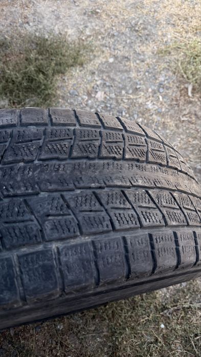 Продаю шины DUNLOP