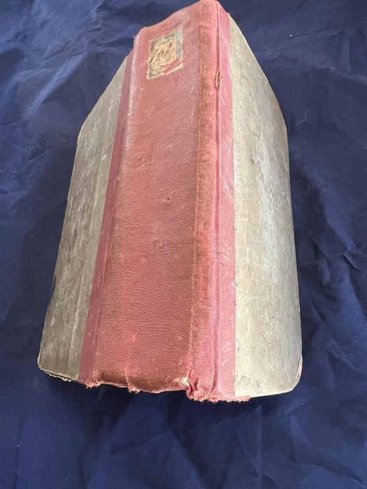 Книгата е озаглавена”Теварих-и Ал-и Осман” историческо произведение.