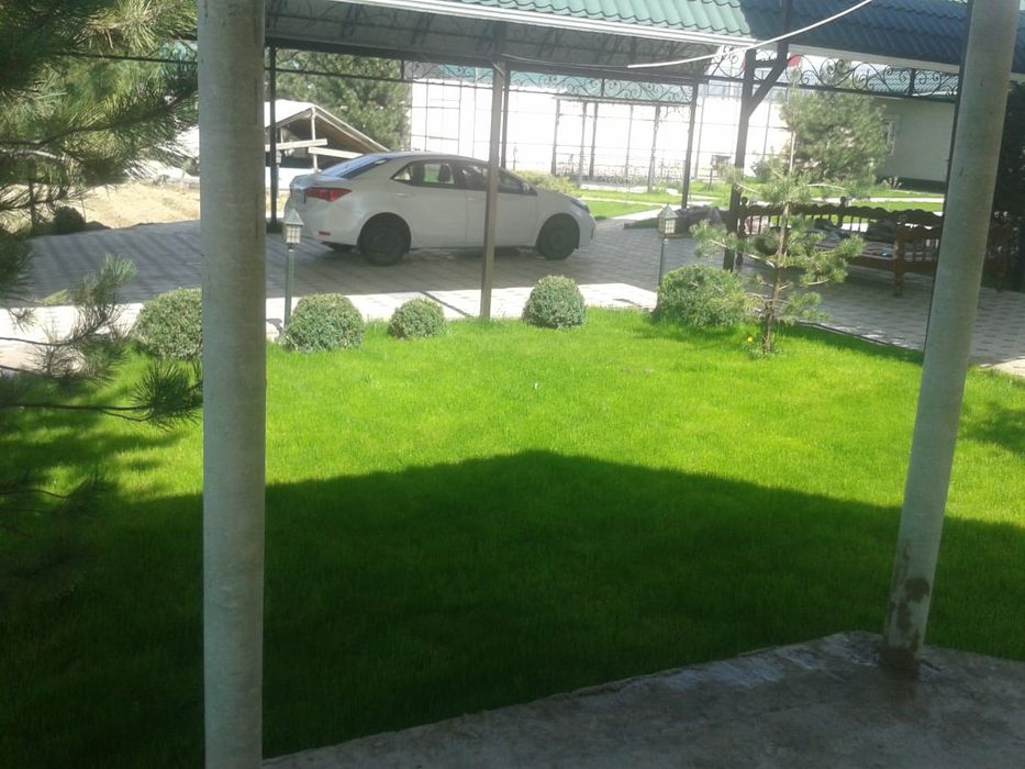 Газон Автополив !