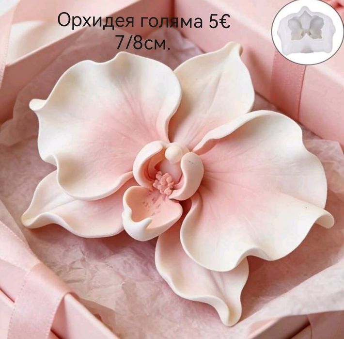 Нови модели молдове