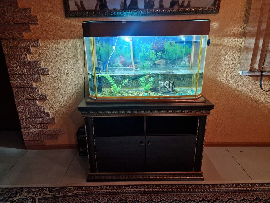 Аквариум 200л  с тумбой и рыбками