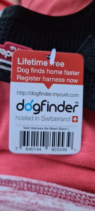 Ham CURLI mărimea Jack Russel