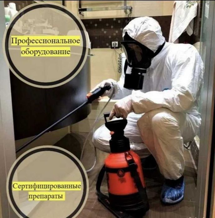 Dezinfeksiya kvartira ofis dom hovli klop klapa tarkan burga клоп блох