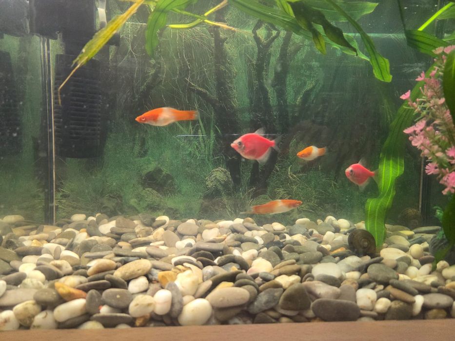 Продам аквариум б/у