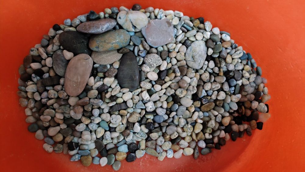 Аквариум и всё неоходимое