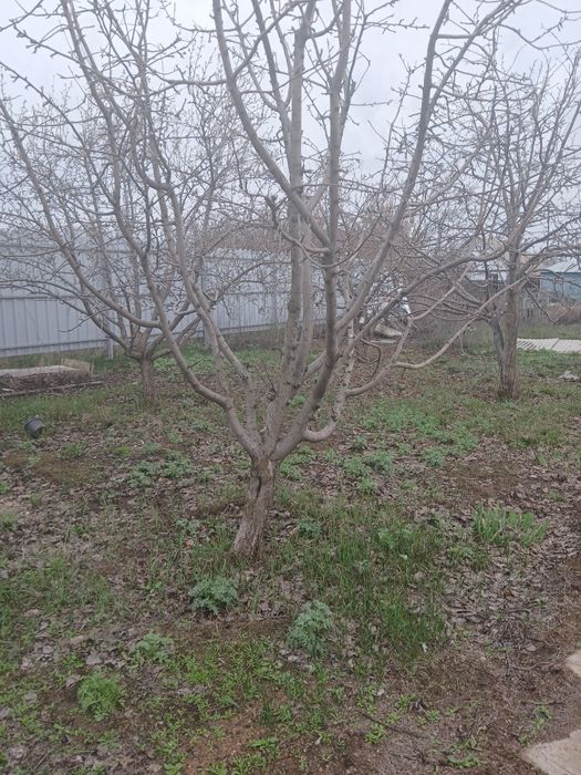 Продам дачу срочьно