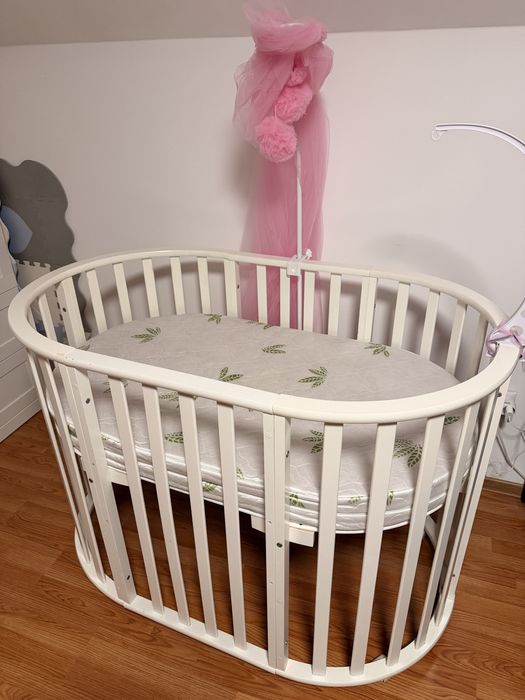 Patut bebe oval, evolutiv