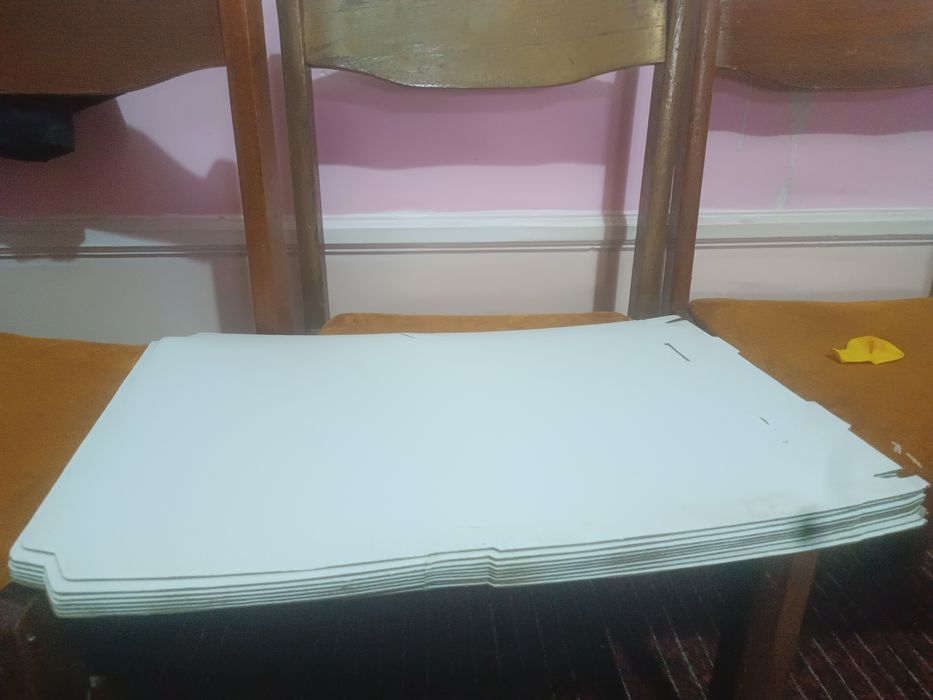 Pissa karopka 22x30x2,5 sm 900+ shtuk + qolip picho