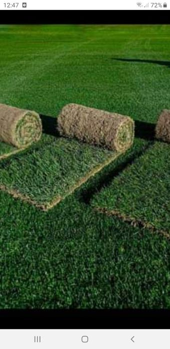 gazon rulou brazi spirale