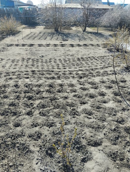 Услуги грузчиков плюс газель.