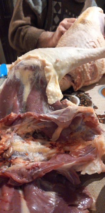 Curcani Bio 100% crescuti doar cu cereale