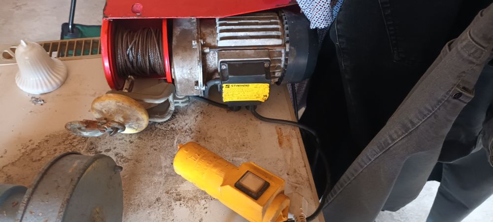 Troliu 220v cu telecomanda