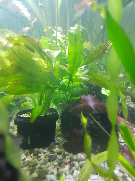 Аквариум 110 литров