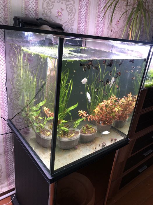 Аквариум продам ,
