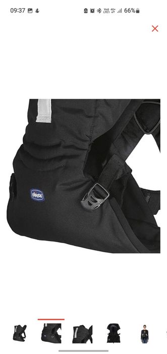 Продам кенгуру с рождения