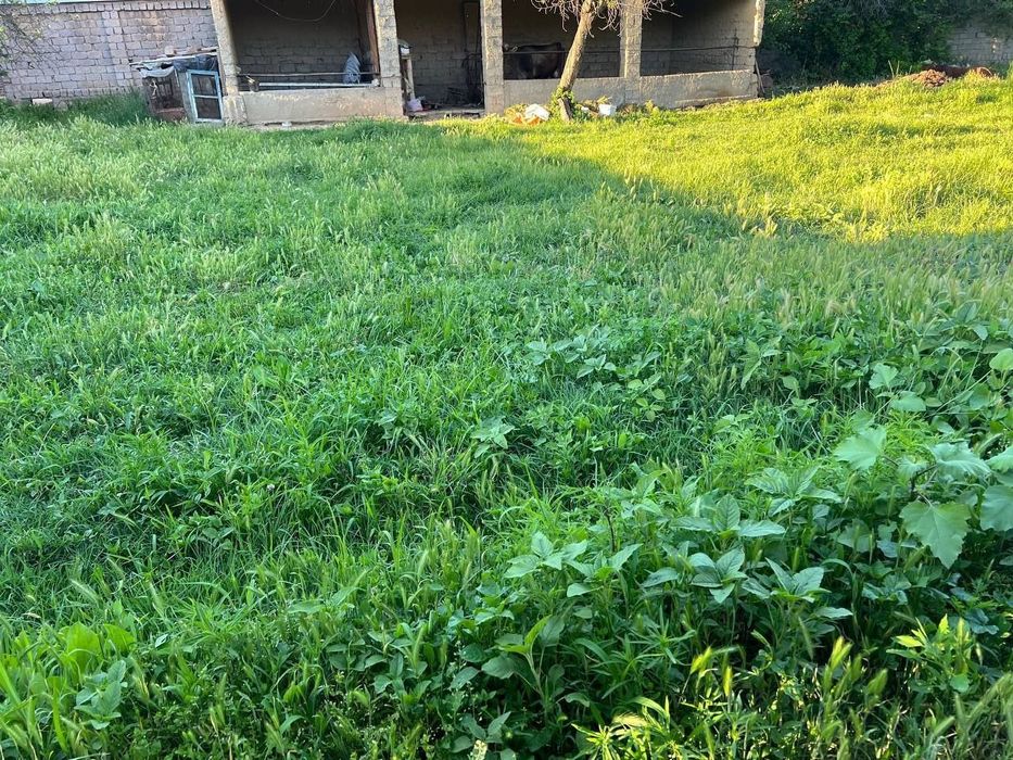 Yer sotiladi 6 sotih