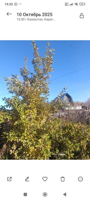 Продам дачу на правом берегу