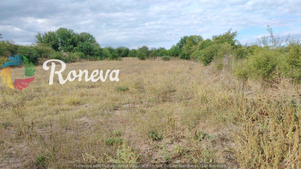 Продава се Парцел в с. Дряновец, Област Разград - 2090 кв.м за 12 €/кв.м - Снимка #1