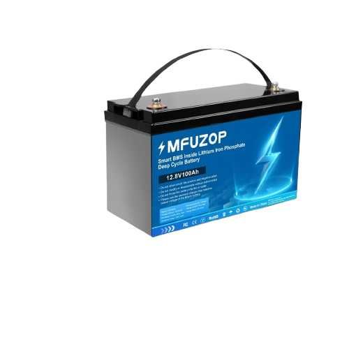 Baterie LiFePO4 12V 100Ah cu BMS Smart 100A Integrat, Peste 8.000 de Cicluri Profunde, Peste 80% Adancime de Descarcare,