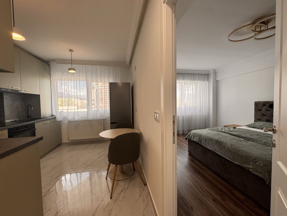 Ap cu 1 cameră, terasă spre Parcul Mara, prima inchiriere