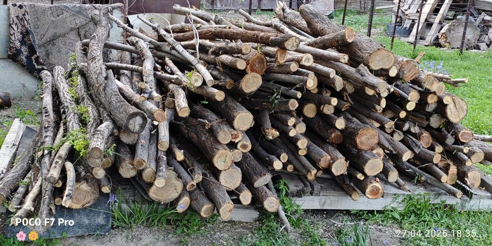 Продам Дынгек ( Қоршауға)