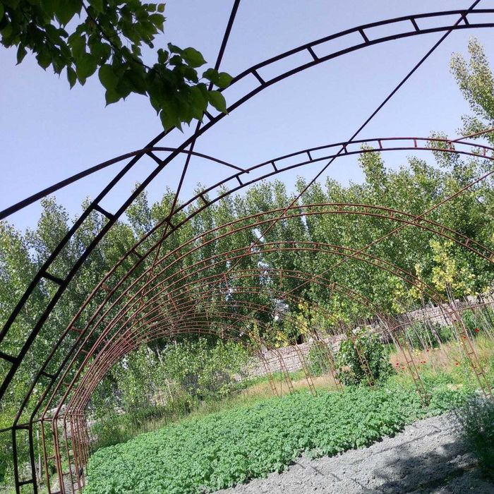 Иссикхона таййор теплица