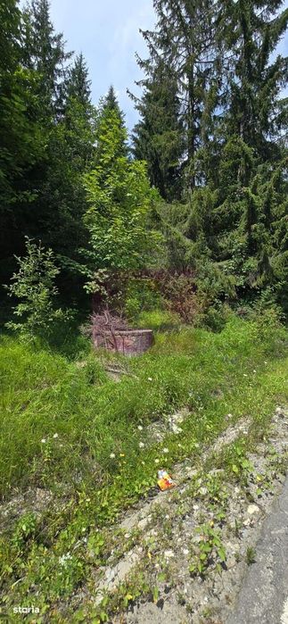 Teren de vânzare în zona Cota 1000 – Sinaia