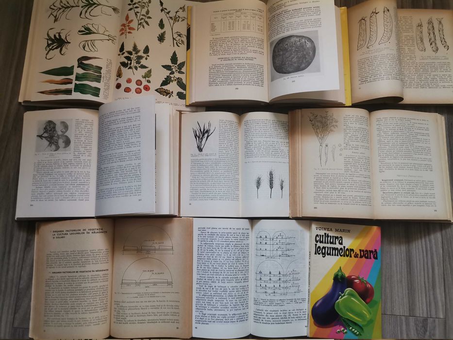 Vand colectia ceres, plante agricole, legume, legumicultura